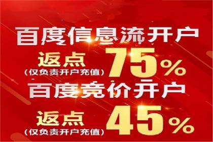 百度竞价排名机制：成功案例与策略探讨
